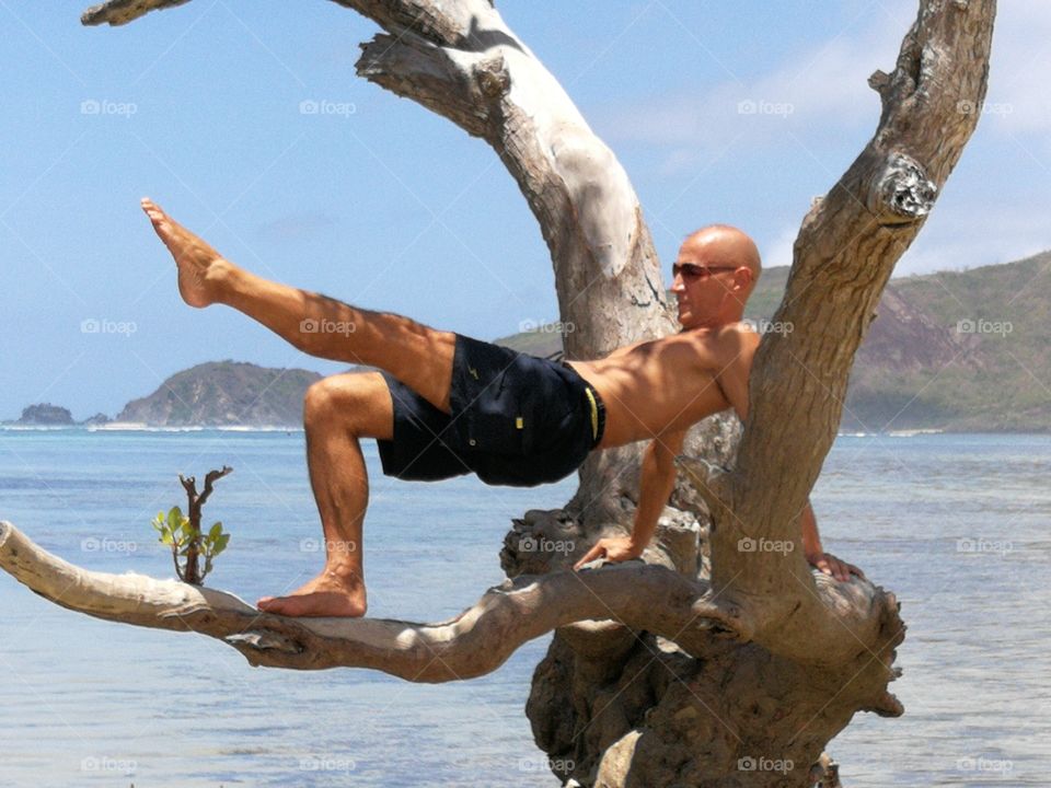 Gym on tree branch