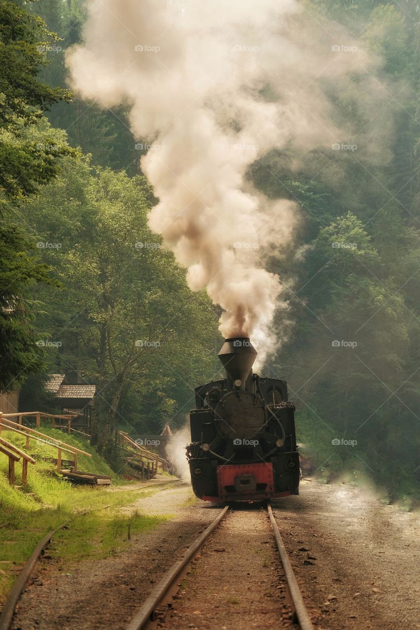 Mocanita - old time vintage steam train locomotive