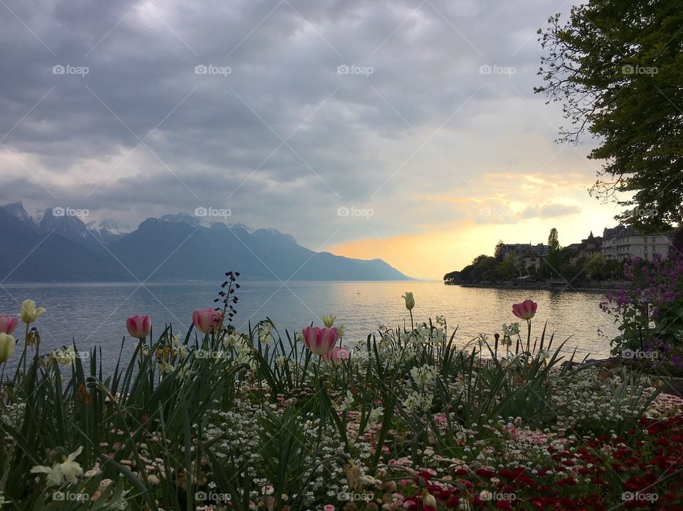 Sunset on the lake 