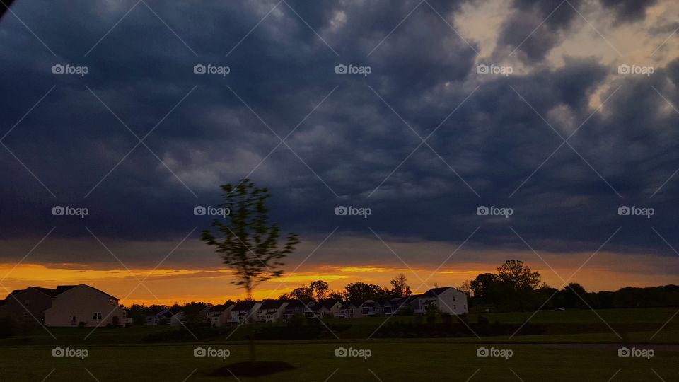 Sunset, No Person, Dawn, Tree, Sky