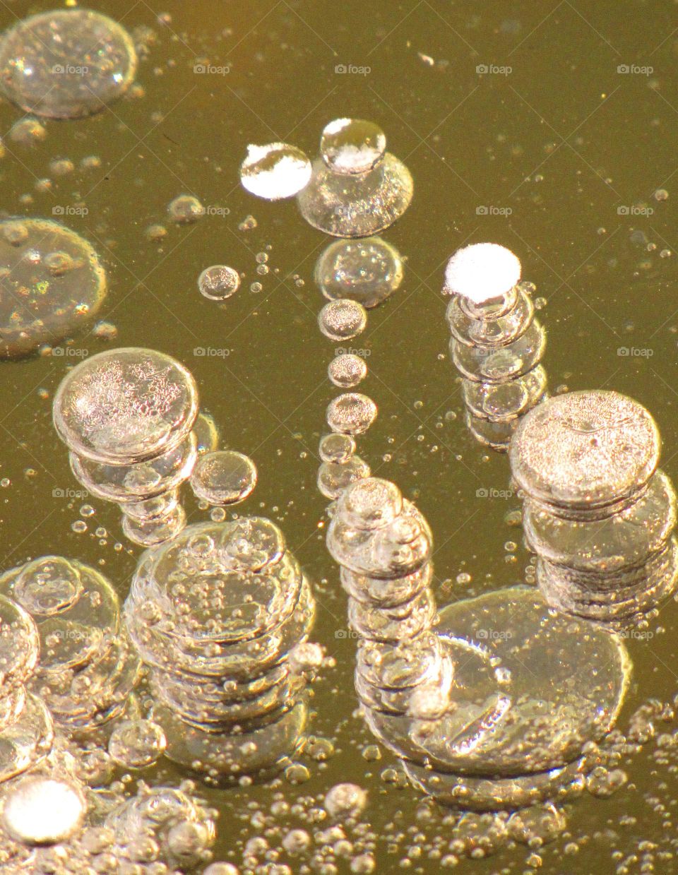 Close-up of frozen bubbles