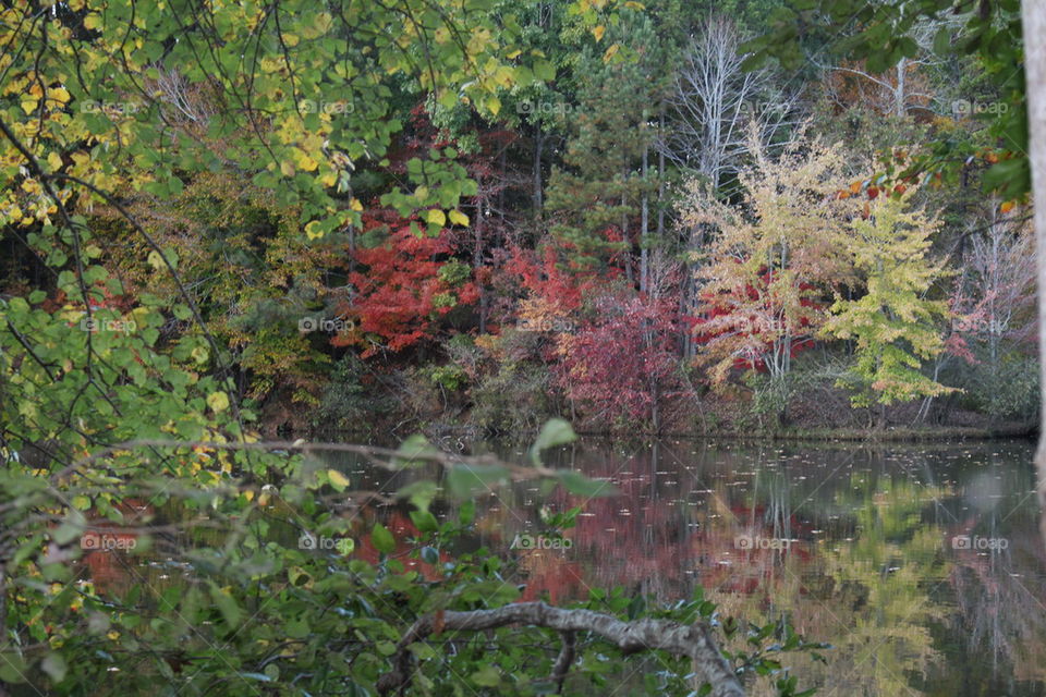 Lake during autumn