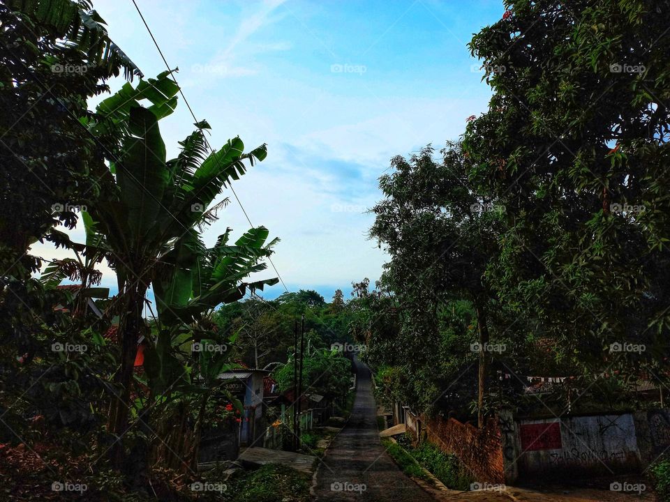 High and low road decorated with trees