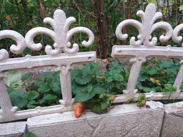 strawberry