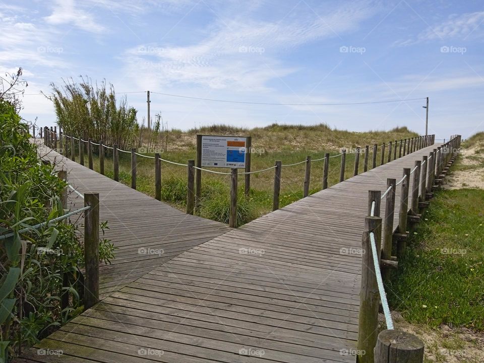 path to the beach