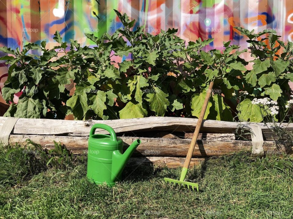 Urban gardening with tools