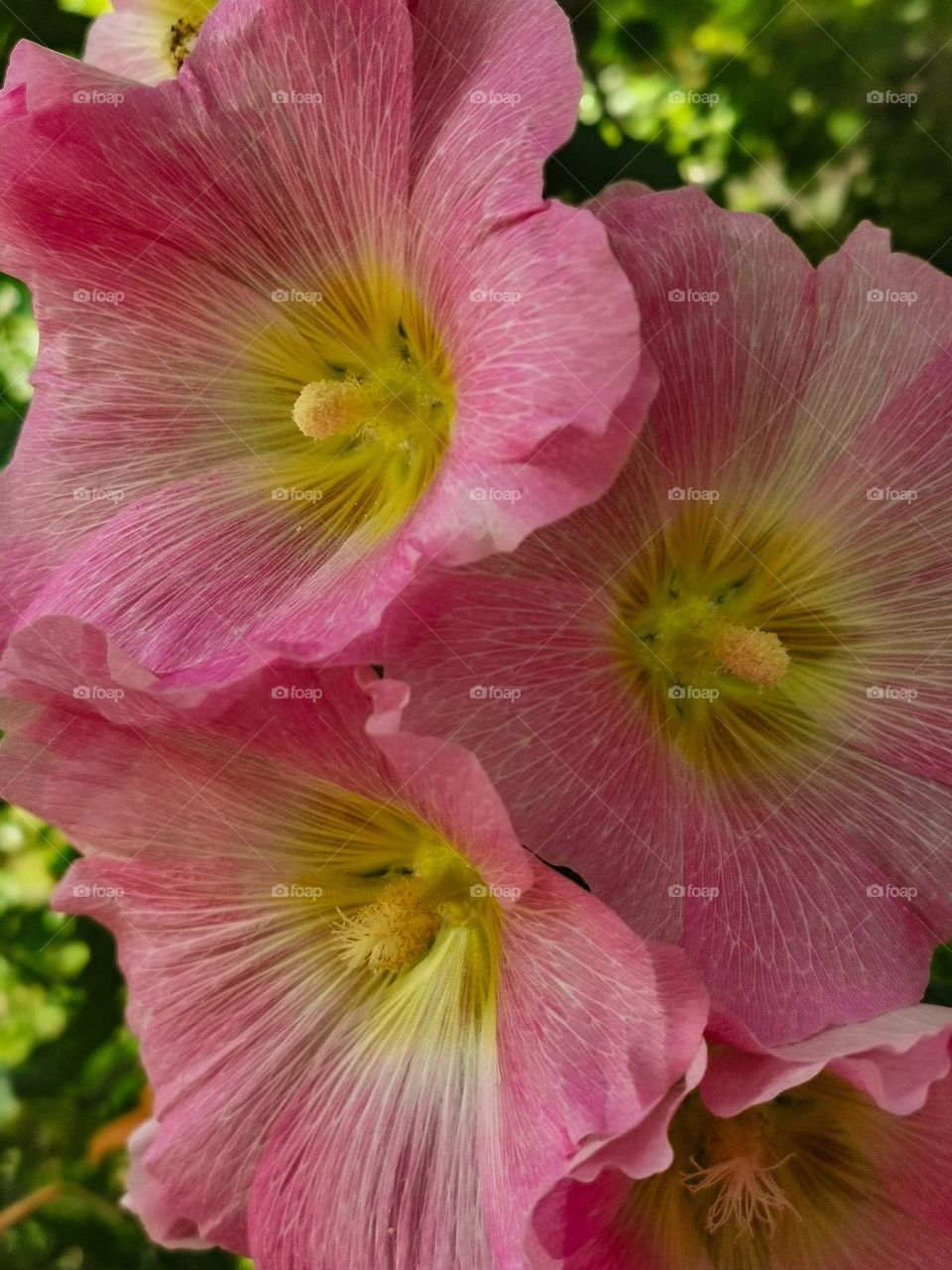 Summer's beautiful space