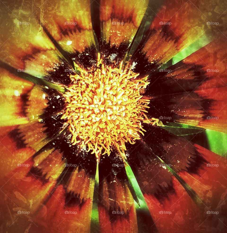 sundaymorningsparkoffers