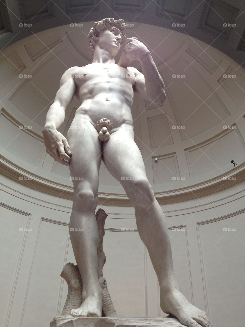 Michelangelo's statue of David in Florence, Italy