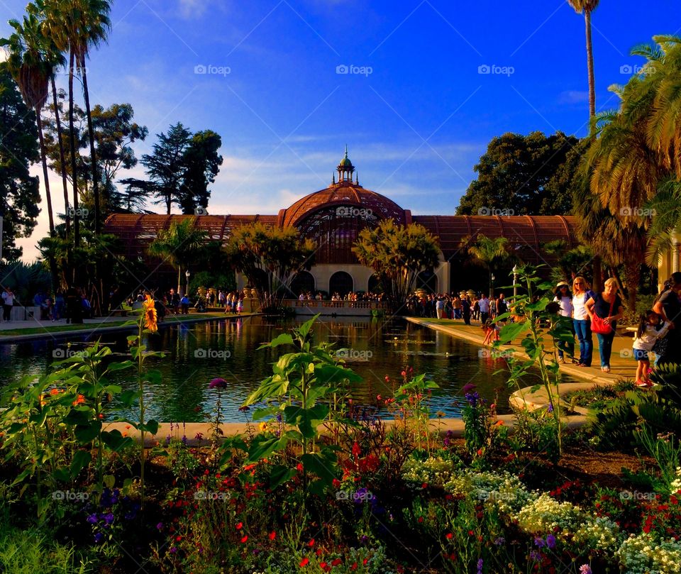 Balboa Park 
