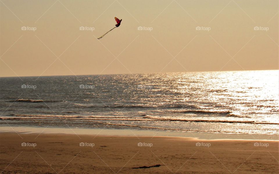 At the seaside