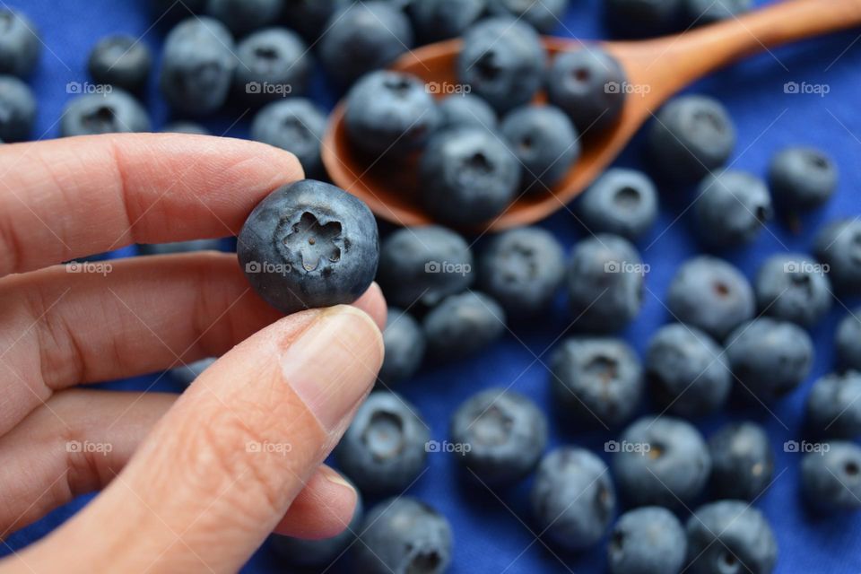 blueberry in the hand taste healthy food blueberries, cooking handmade