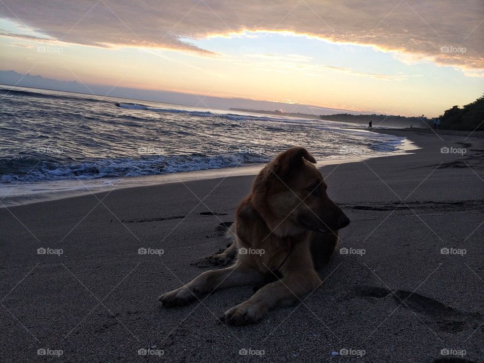 Sunrise with new friend