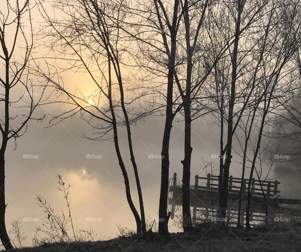 Foggy Holiday Lake Morning