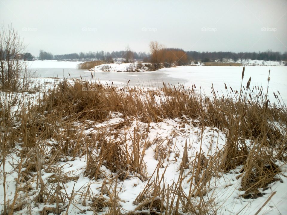 Winter, Landscape, Snow, Nature, Water