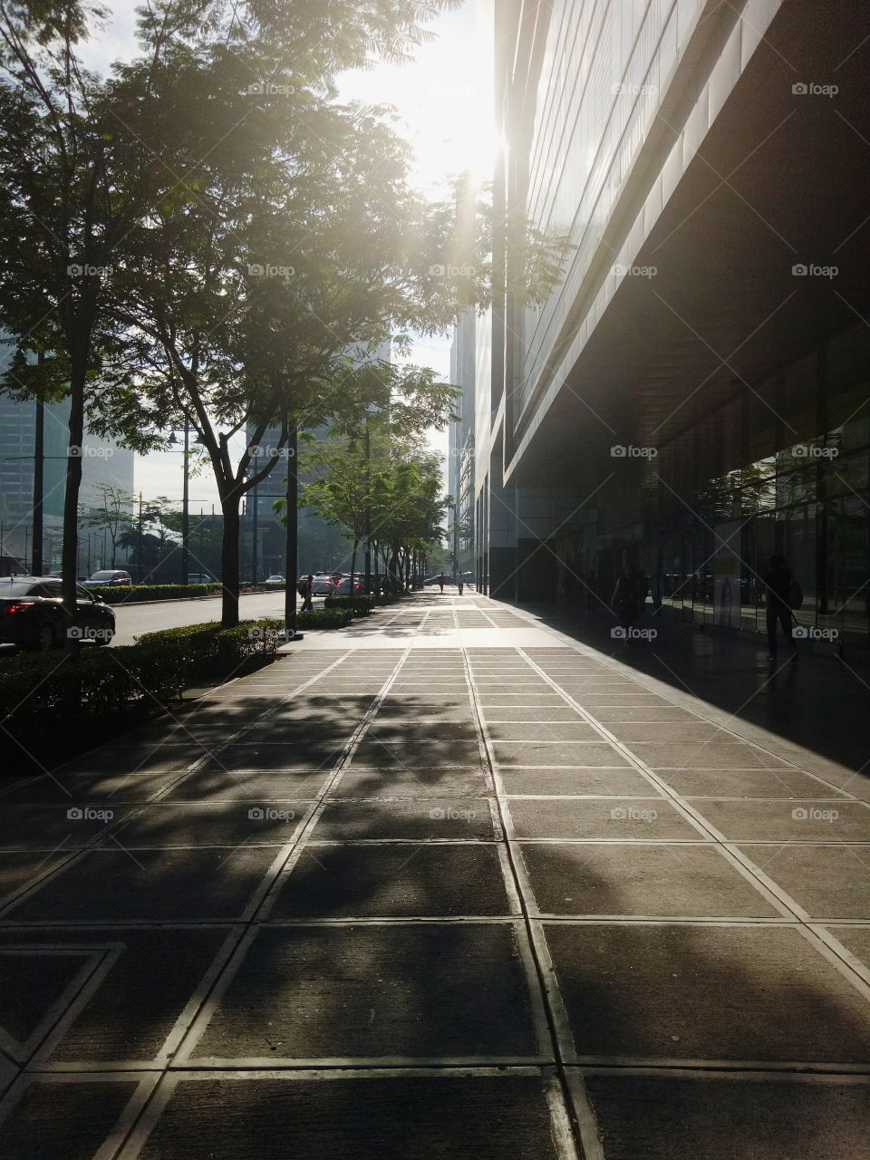 Suns kiss
Daily grind around the busy streets of BGC.
The Bonifacio Global City of the Philippines!