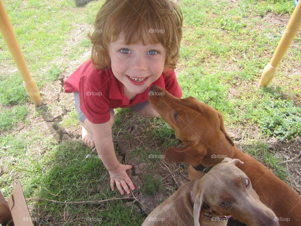 My adorable youngest kiddo playing with our Dachshund Puppies 