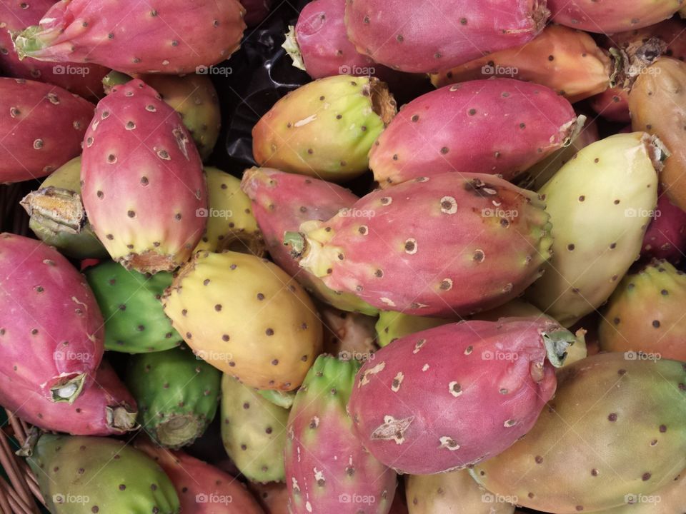 Full frame shot of prickly pear cactus