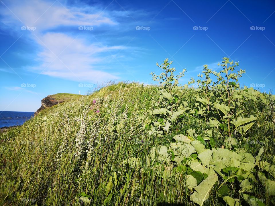 A corner of nature in Gaspésie at Sainte-Madeleine-de-la-rivière-Madeleine