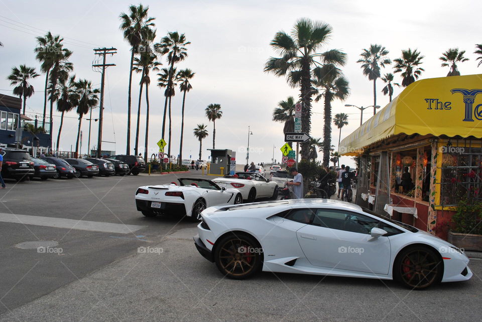 Expensive cars parked at Venice beach