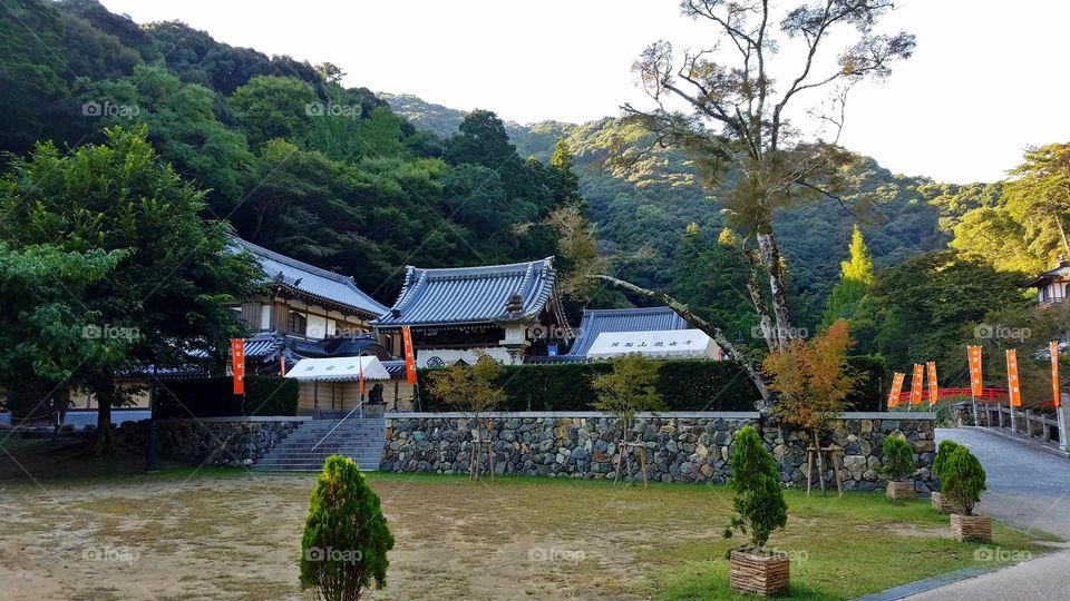 Temple garden