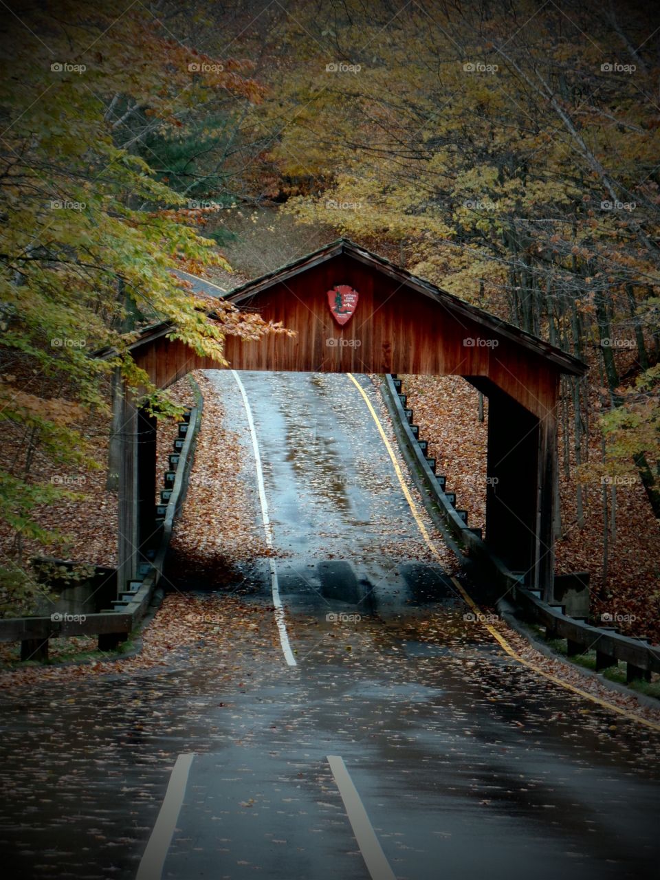 Northern Michigan 