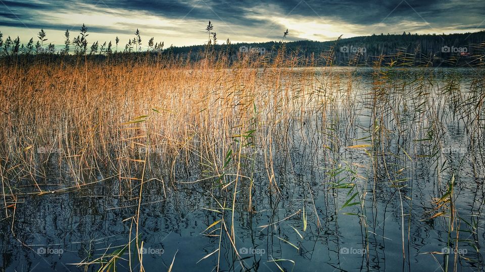Cold day by the lake 