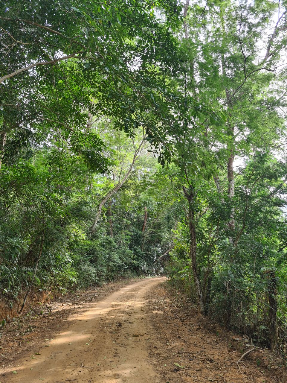 rural road