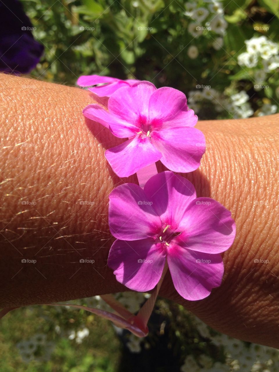 Homemade bracelet made of real flowers

