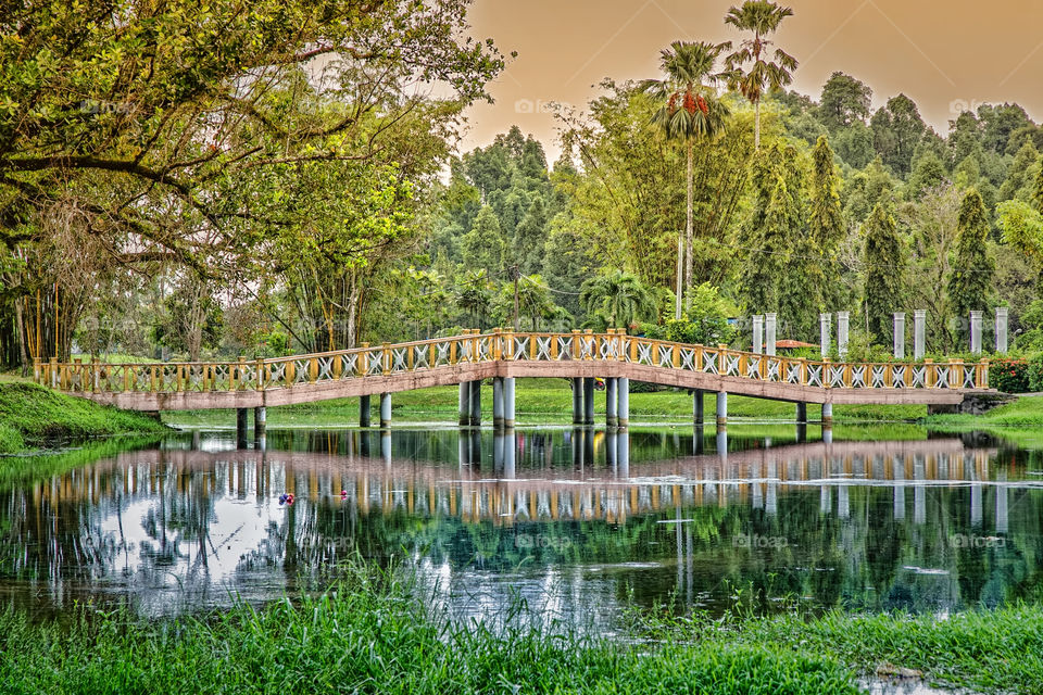 valentine bridge at garden