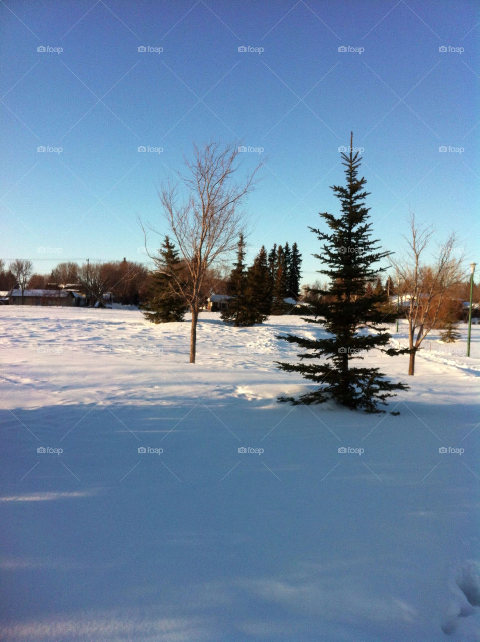 Wide open view of park