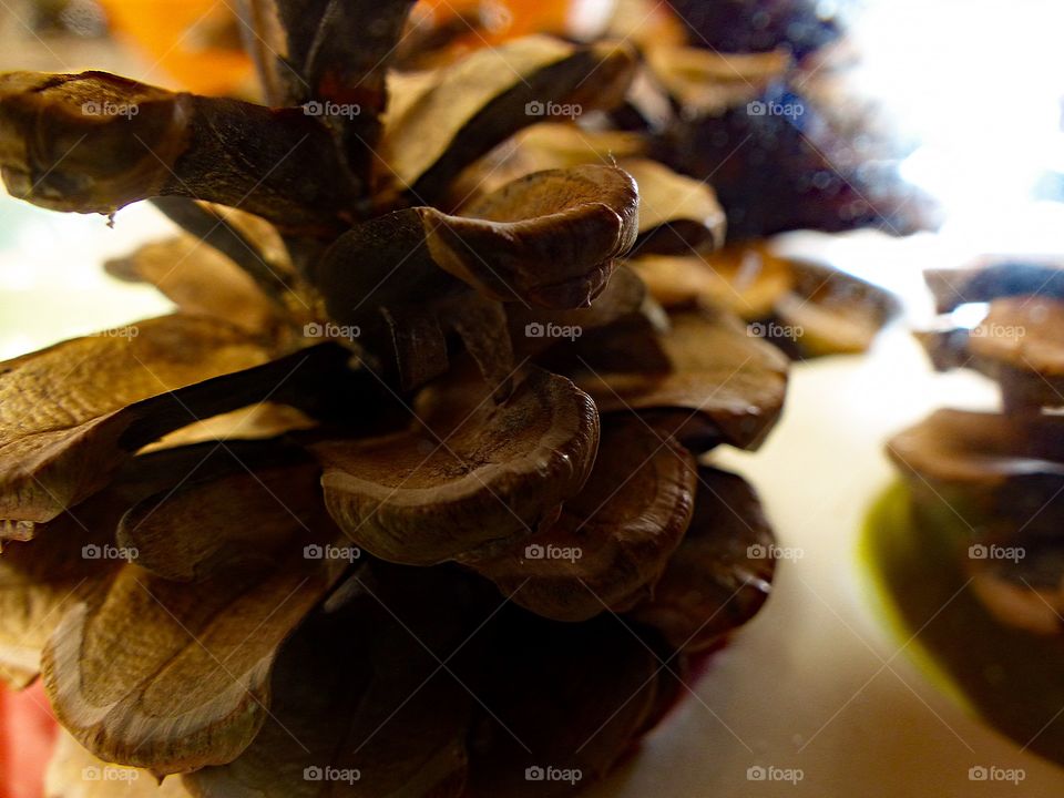 Multiple pinecones