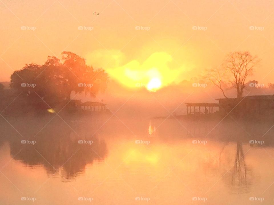 Foggy lake sunrise