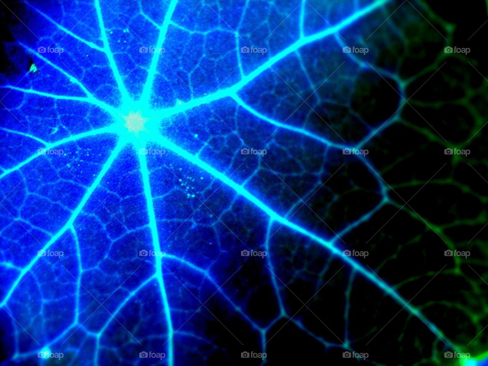 No Person, Futuristic, Abstract, Energy, Bright