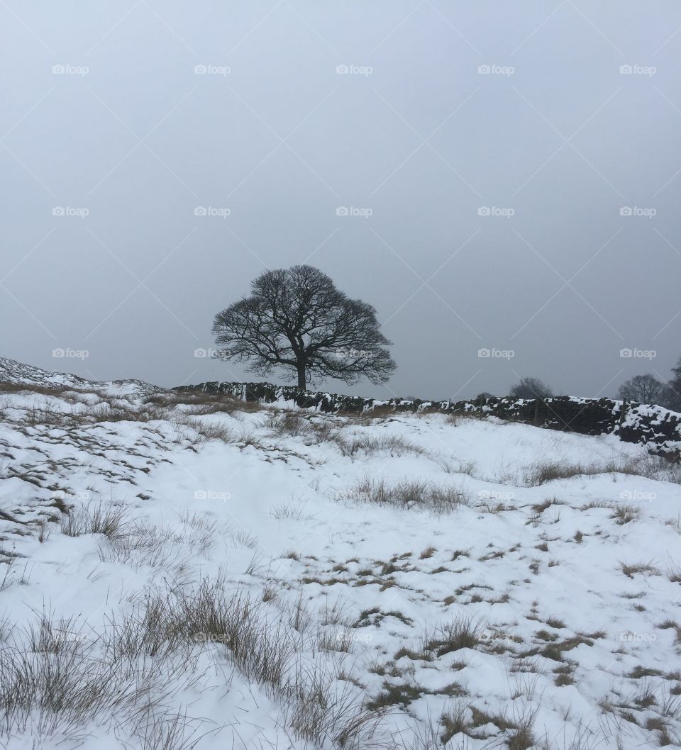 Winter scene , Northern England 