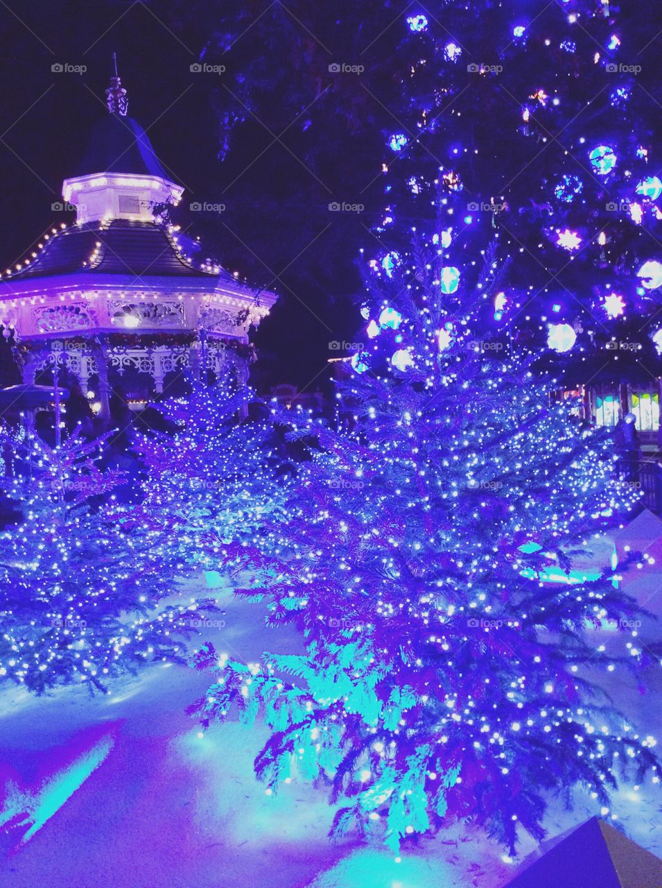 Disneyland Christmas Tree 🌲
