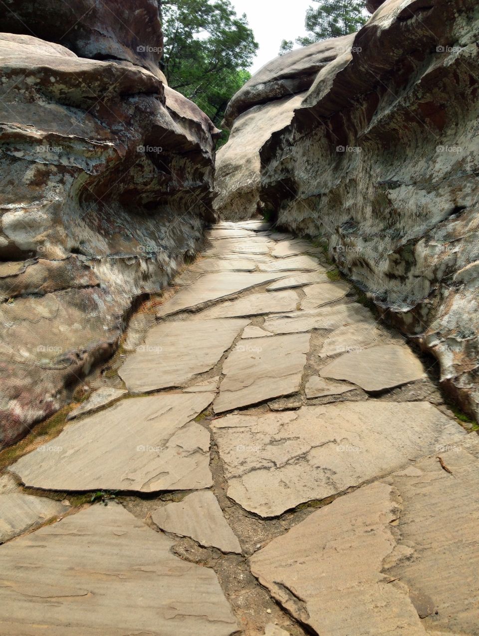 Shawnee national park 