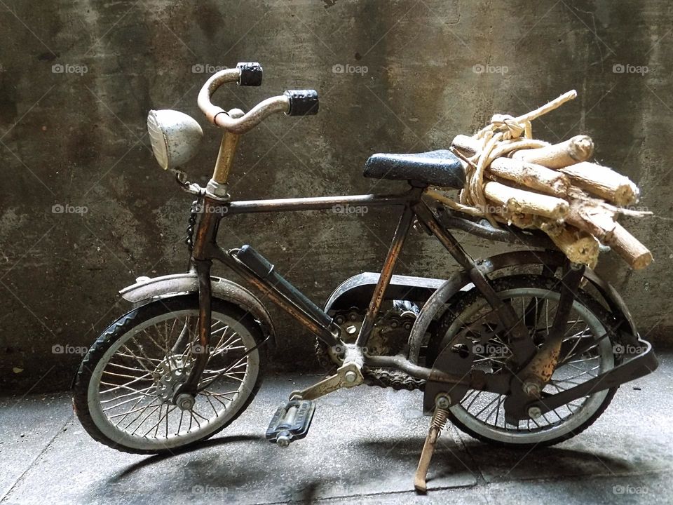 Looking for firewood with an old bicycle