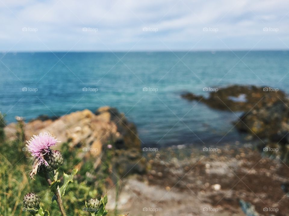 Relaxing day at the ocean