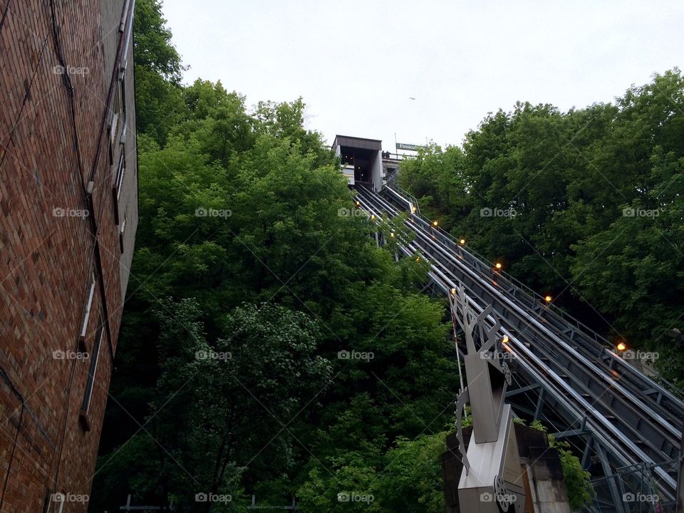 You can even go up faster in the city, but I way prefer climbing stairs!