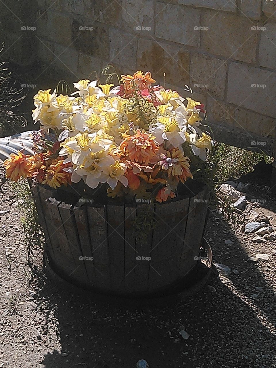 corn whiskey barrel. this old whiskey keg is used as a flower pot