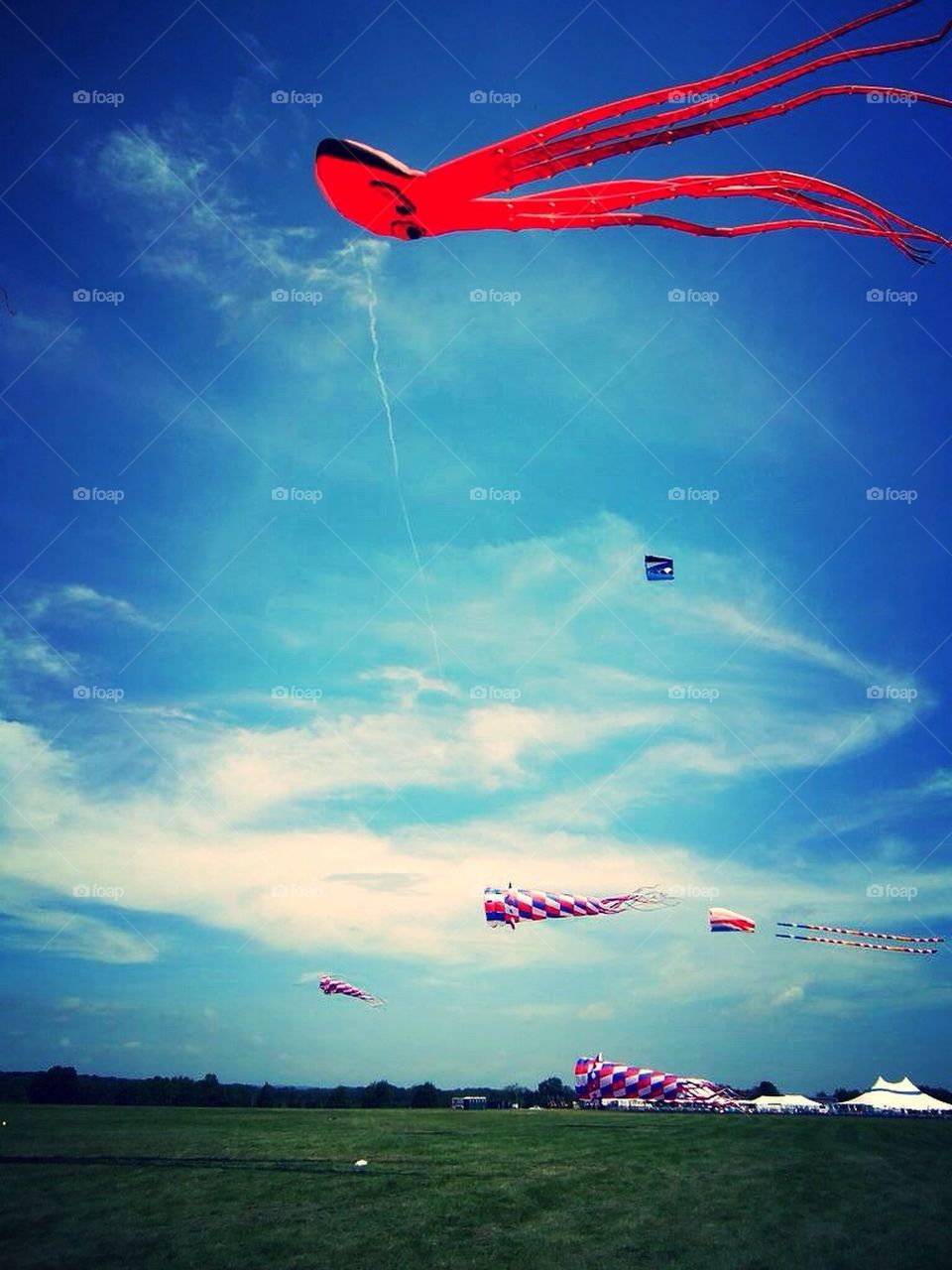 Sky, blue, octopus, red, ballooning