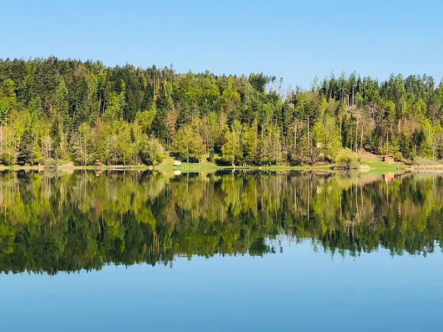 Reflection