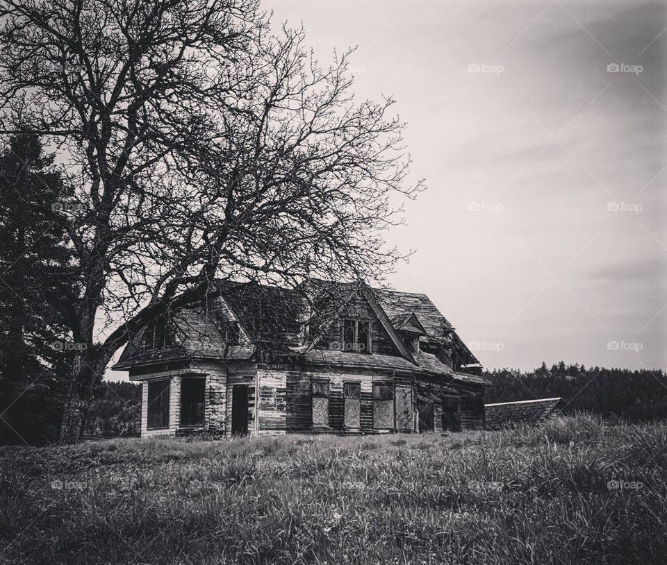 Abandoned farm house 