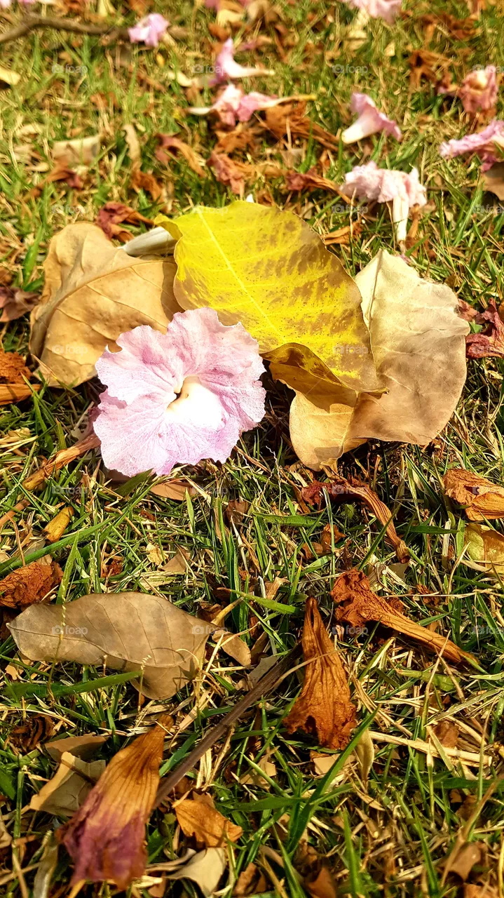 spring is coming