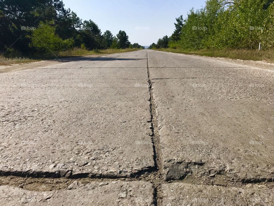 Old road trough the forest