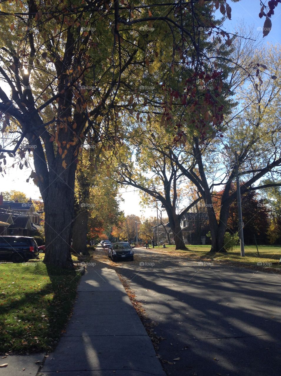 Walking on the street