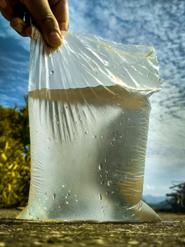 water in polythene bag.