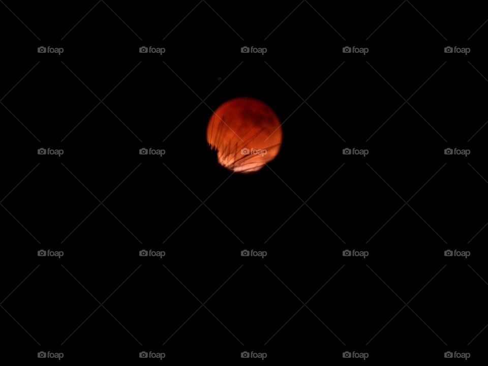 My photos of the Blood Moon, and tree - Total lunar eclipse on 15 May 2022 - Lunar eclipses occur when Earth aligns between the sun and the moon and casts a shadow across the lunar surface. The weather condition were very cloudy