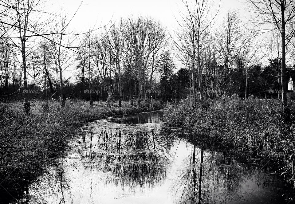 spade oak reservoir bourne end nature trees pond by resnikoffdavid